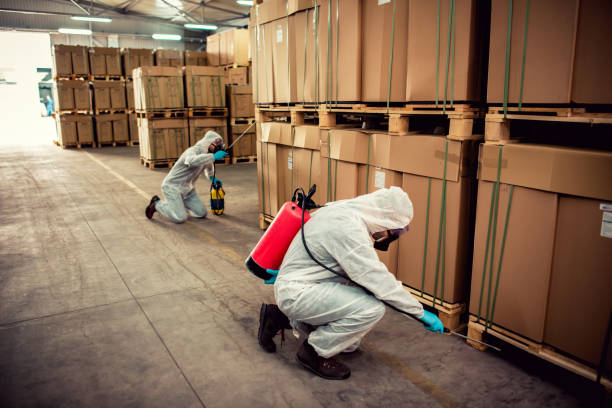 Best Pest Removal Services  in , ME