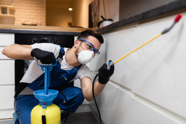 Best Bed Bug Extermination  in , ME