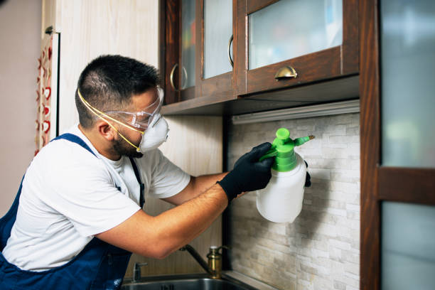Best Mosquito Control Services  in , ME