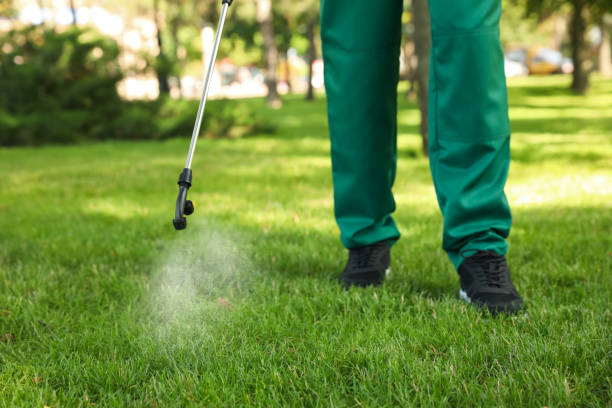 Best Affordable Pest Control Services  in , ME