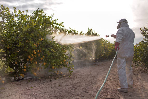 Best Pest Removal Services  in , ME