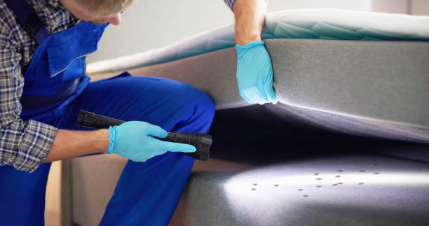 Best Local Pest Control Services  in , ME