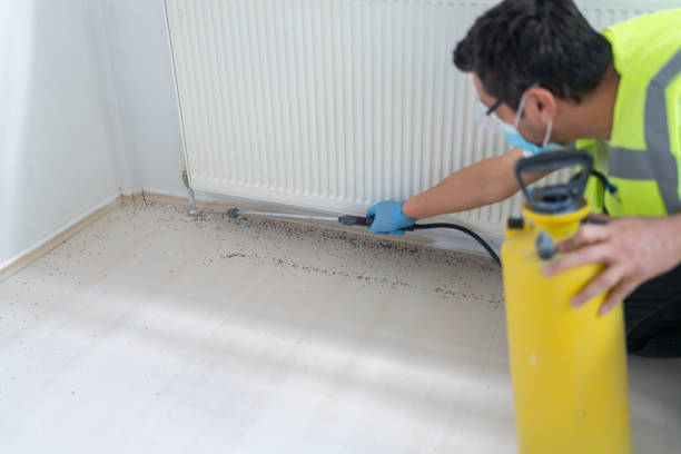 Best Commercial Pest Control Services  in , ME