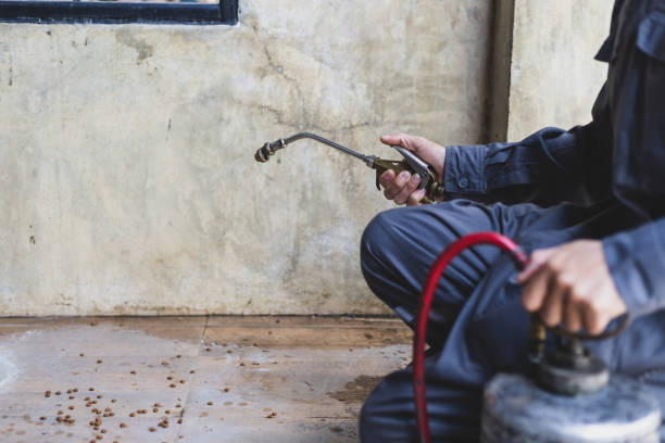 Best Best Pest Control Companies  in , ME