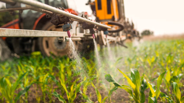 Best Commercial Pest Control Services  in , ME
