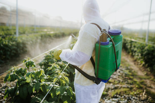 Best Residential Pest Control  in , ME